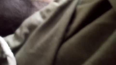 Snapshot of goodfucker3252 chatting on January 5, 9:25 pm Arab Pronstar online show from January 5, 9:25 pm