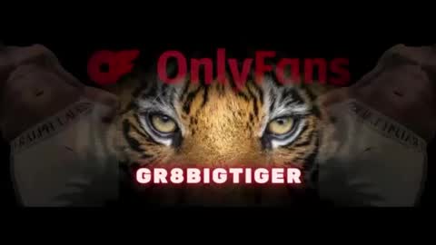 gr8bigtiger online show from October 10, 9:52 am