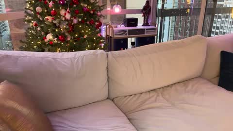 Gracie Mae online show from January 17, 10:23 pm