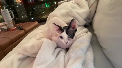 Gracie Mae online show from December 23, 3:48 am