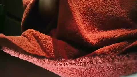 Snapshot of grapefruit chatting on March 1, 9:59 pm grapefruit online show from March 1, 9:59 pm