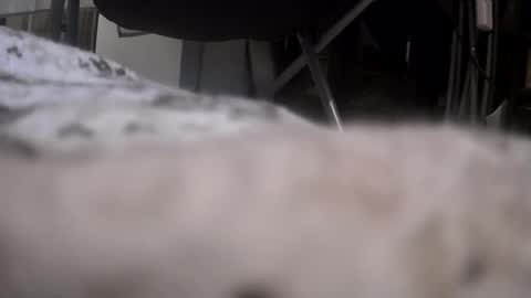 Get US to 1000 you wont be disapointed online show from January 17, 12:15 am