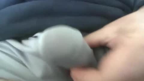 Snapshot of greatjunes chatting on April 7, 3:01 pm gr8head online show from April 7, 3:01 pm