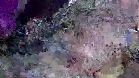 Jack online show from January 16, 11:48 am