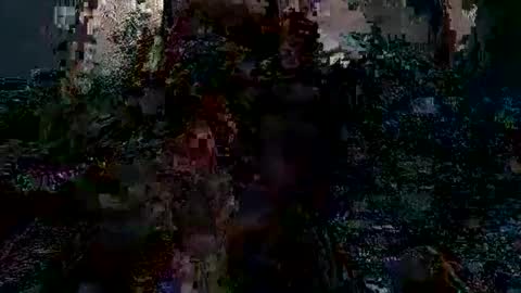 Jack online show from January 17, 9:17 am