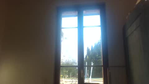 Greenmoon online show from December 18, 11:45 am