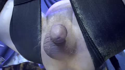 electrogee1 online show from February 25, 8:25 am