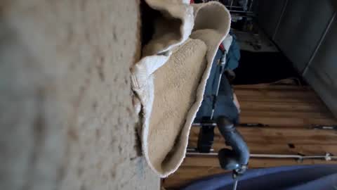 electrogee1 online show from March 15, 1:00 am