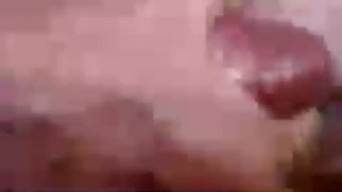 Greg online show from July 22, 5:49 pm