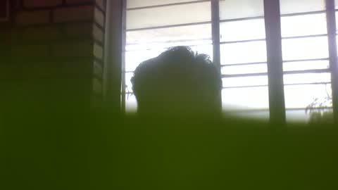 Grey Stud online show from February 4, 6:36 am