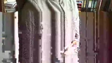 greyhounddog online show from November 5, 9:42 am