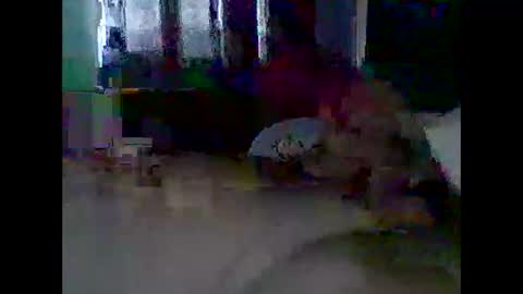 grittslappa online show from November 11, 12:21 am