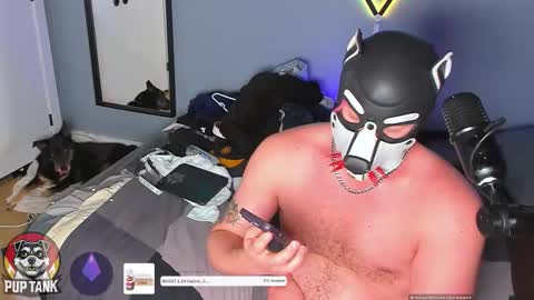 Alpha pup online show from November 23, 7:35 pm