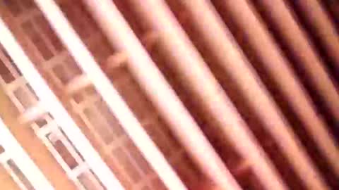 Snapshot of guidohnm chatting on January 9, 6:59 am Gu online show from January 9, 6:59 am