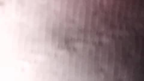 Snapshot of guidohnm chatting on January 20, 3:26 am Gu online show from January 20, 3:26 am