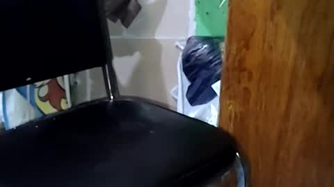 guillermo723 online show from May 2, 3:44 am
