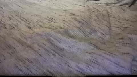 gumbywanna online show from February 8, 5:08 am