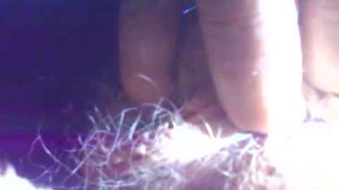 hagridthehorrible online show from November 1, 11:23 am