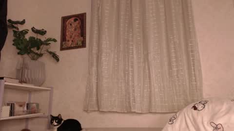 Snapshot of haidyhaven chatting on June 11, 2:53 am haidyhaven online show from June 11, 2:53 am