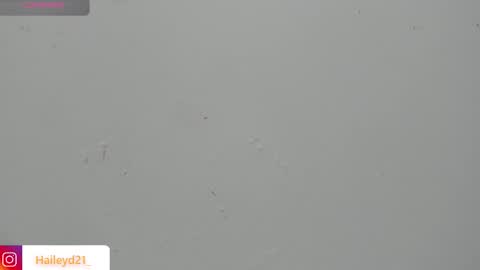 Hailey online show from March 23, 2:48 am