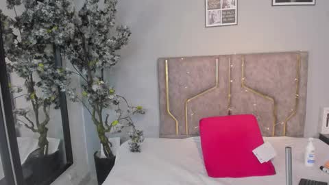 haileystonei online show from November 21, 11:31 am