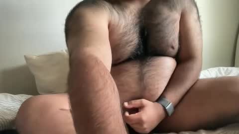 Snapshot of hairyaussie00 chatting on December 4, 3:04 am hairyaussie00 online show from December 4, 3:04 am
