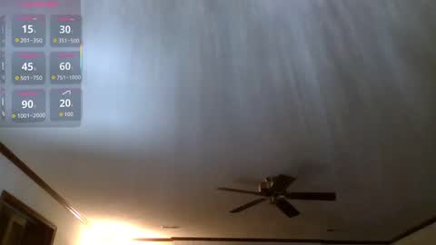 HairyDaddyBear69 online show from November 11, 12:54 am