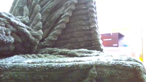 HairyHornyTwinkk online show from November 14, 10:36 am