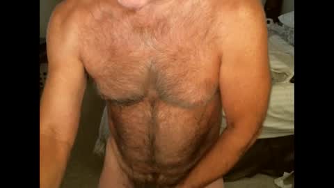 Hairy pecs online show from October 2, 6:31 am