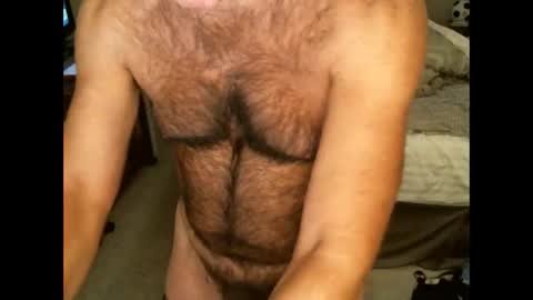 Hairy pecs online show from November 23, 9:09 am