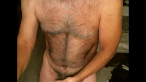 Snapshot of hairypecsguy chatting on February 11, 7:24 am Hairy pecs online show from February 11, 7:24 am