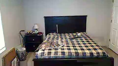 Snapshot of hammerthatthang73 chatting on May 17, 11:28 am hammerthatthang73 online show from May 17, 11:28 am