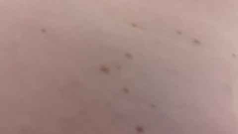 Snapshot of handsomerob42 chatting on January 18, 6:23 pm handsomerob42 online show from January 18, 6:23 pm