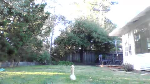 HandySmurf online show from December 4, 11:24 pm