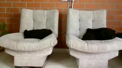 hanna online show from January 20, 6:32 pm