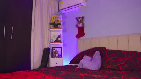 Snapshot of hanna_chris chatting on December 27, 10:48 pm HANNA  online show from December 27, 10:48 pm