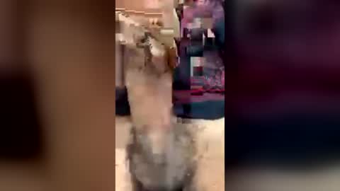 Snapshot of happy_2please chatting on June 20, 3:59 pm happy_2please online show from June 20, 3:59 pm