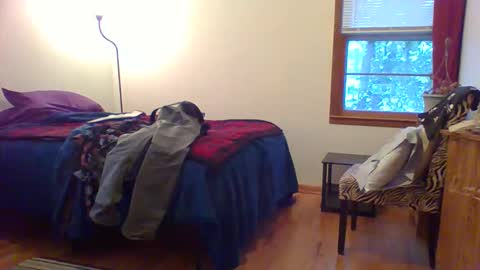 Snapshot of har5 chatting on December 1, 10:26 pm Hardy-Har online show from December 1, 10:26 pm