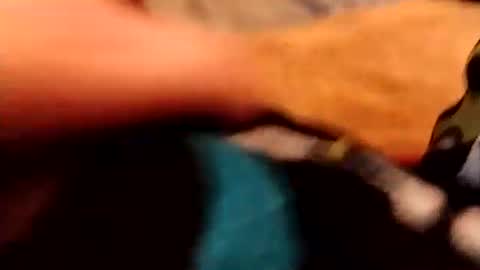 hardandhorny422 online show from December 4, 3:54 pm