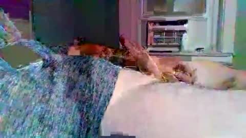 cervixpainter25 online show from November 3, 2:02 am