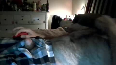 Snapshot of hardnick696 chatting on January 13, 6:49 am hardnick696 online show from January 13, 6:49 am