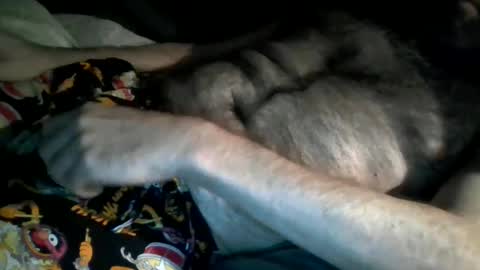 Snapshot of hardnick696 chatting on February 13, 1:59 pm hardnick696 online show from February 13, 1:59 pm