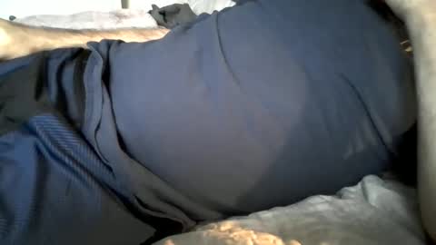 Snapshot of hardnick696 chatting on February 19, 11:14 pm hardnick696 online show from February 19, 11:14 pm