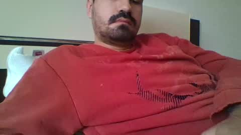 SIR HARD online show from November 26, 11:55 am