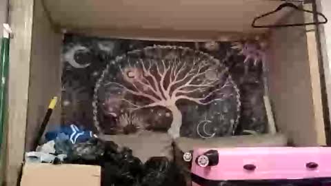 harlleymiller673 online show from October 17, 3:20 am