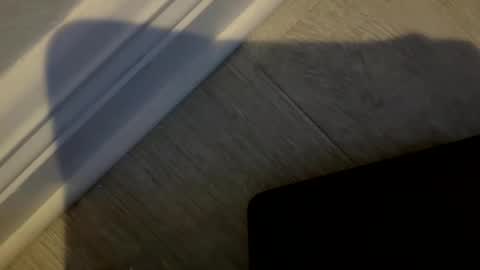 Snapshot of haufd chatting on January 19, 3:54 am haufd online show from January 19, 3:54 am