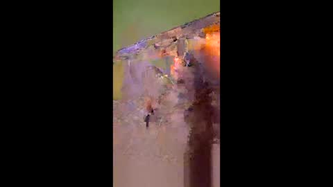 Snapshot of hawks2113 chatting on April 27, 9:40 am hawks2113 online show from April 27, 9:40 am