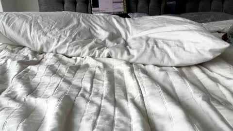 Amber  -   or vip  online show from March 3, 4:46 pm