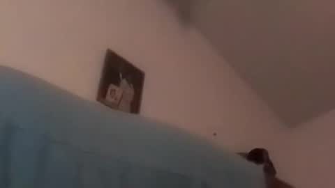 hbdj2164 online show from December 17, 10:34 am