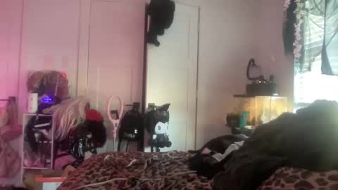 Bunnie Rotz online show from November 25, 6:19 pm